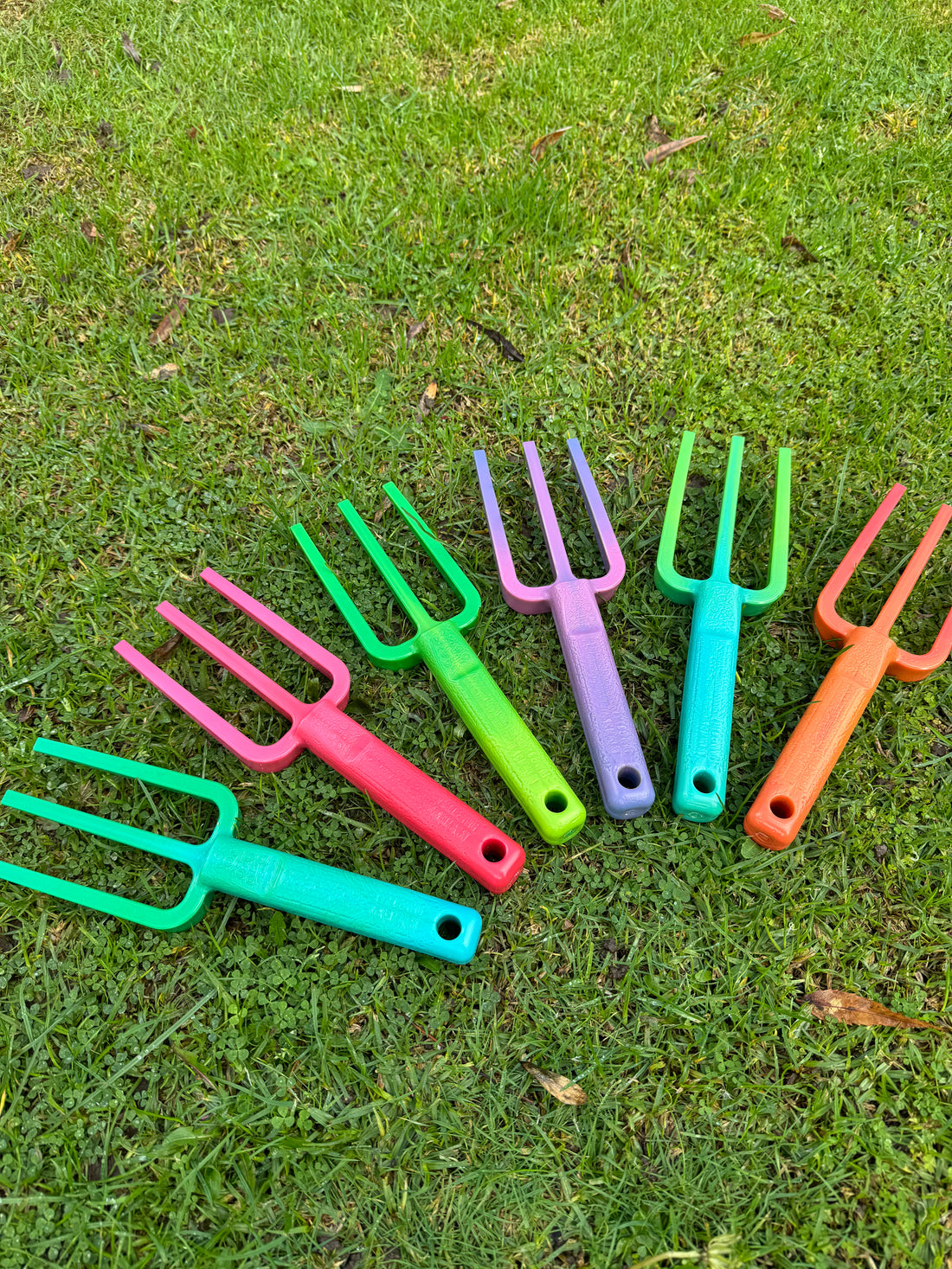 Group-photo-multicoloured-garden-hand-forks-on-grass