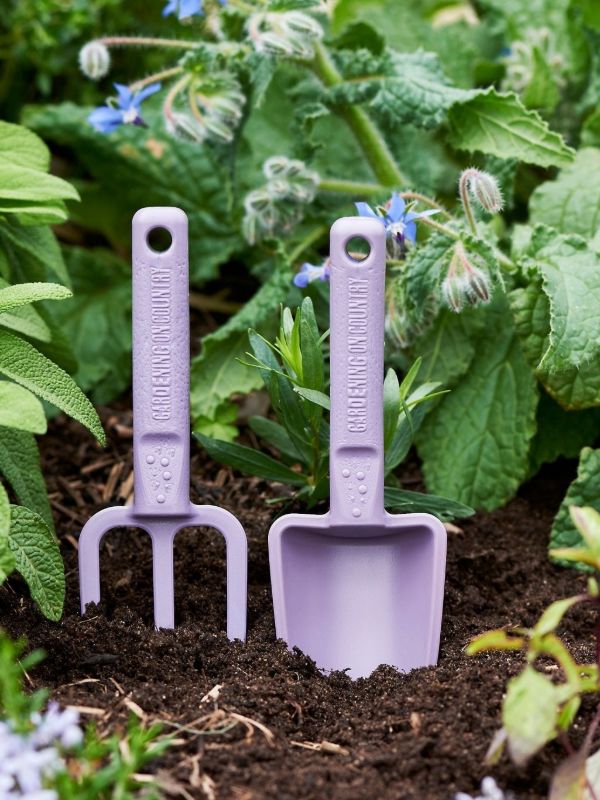 Gardening With Kids: An Age-by-Age Guide (Ages 1 to 6) - Gardening on Country