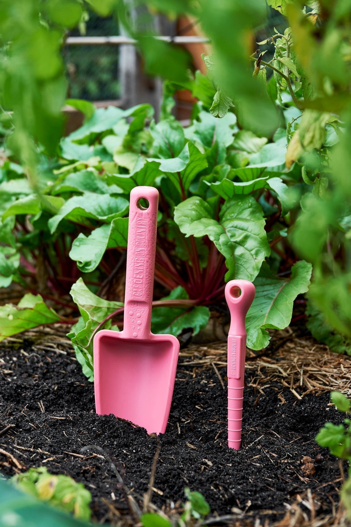 Pink garden tools - Colourful tools - Gardening on Country