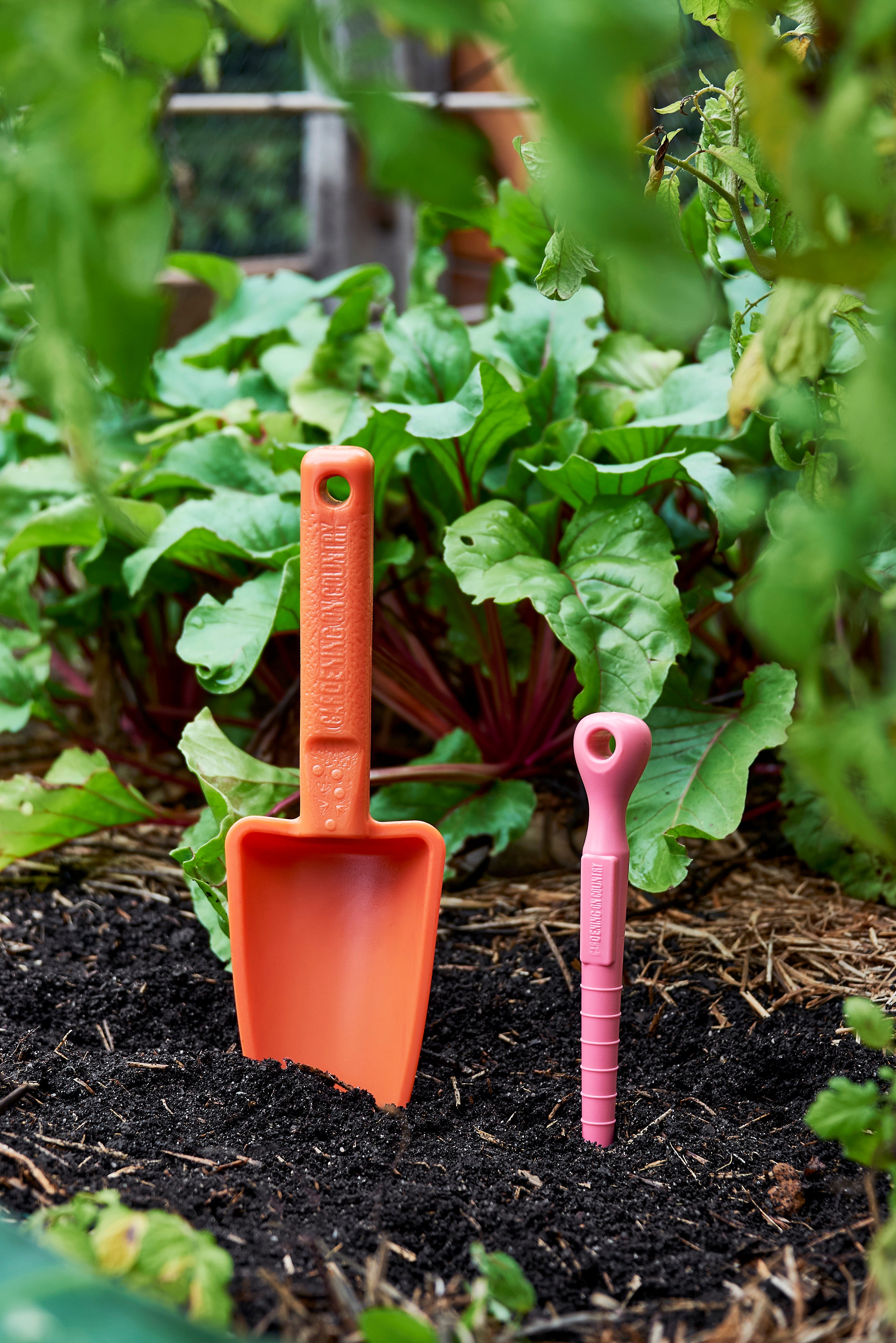 Orange garden shovel and pink garden dibbler on soil with green plants in the background