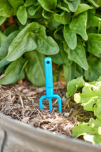 hand-fork-Chicky-tool-blue-vegetable-garden-tool