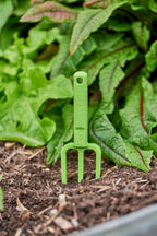 hand-fork-Chicky-tool-green-vegetable-garden-tool