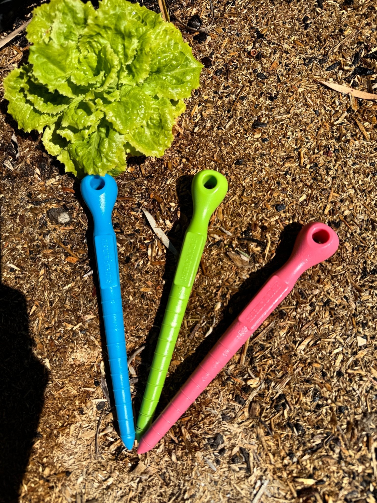 green-blue-pink-group-shot-garden-dibbler-made-from-recycled-plastic