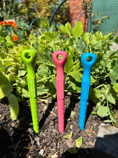 green-blue-pink-group-shot-garden-dibbler-tool-made-from-recycled-plastic