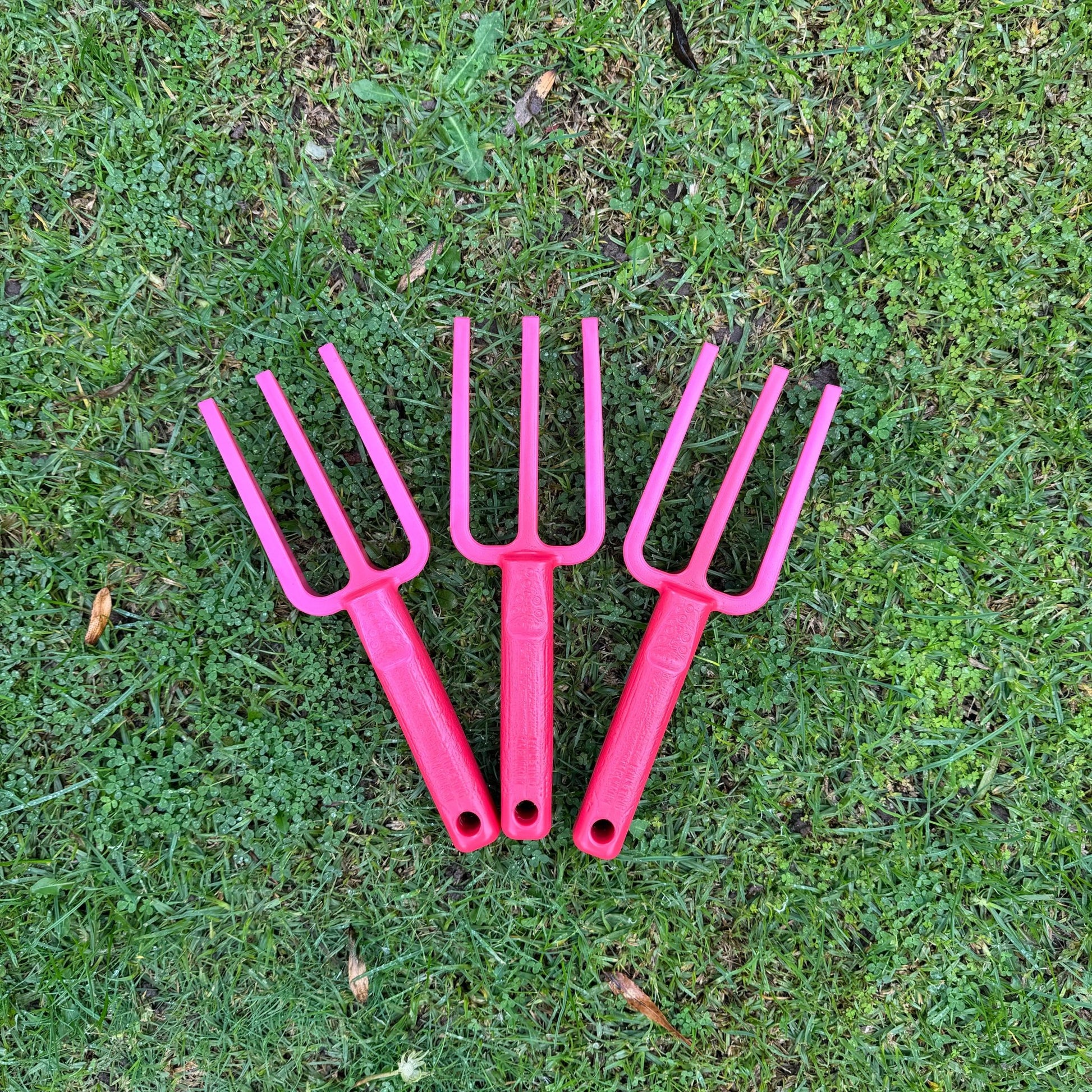 Group-photo-multicoloured-garden-hand-forks-on-grass