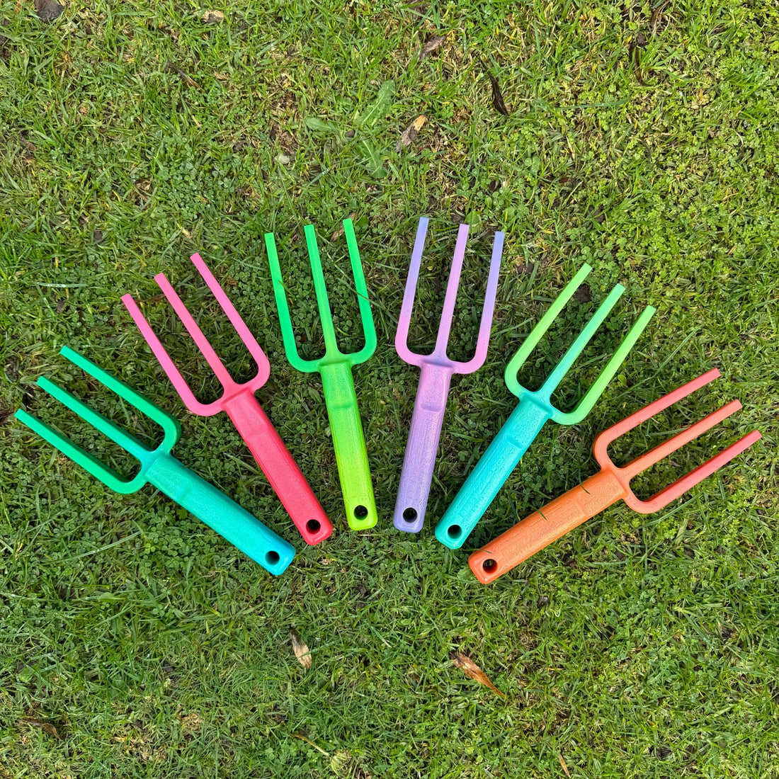 Group-photo-multicoloured-garden-hand-forks-on-grass