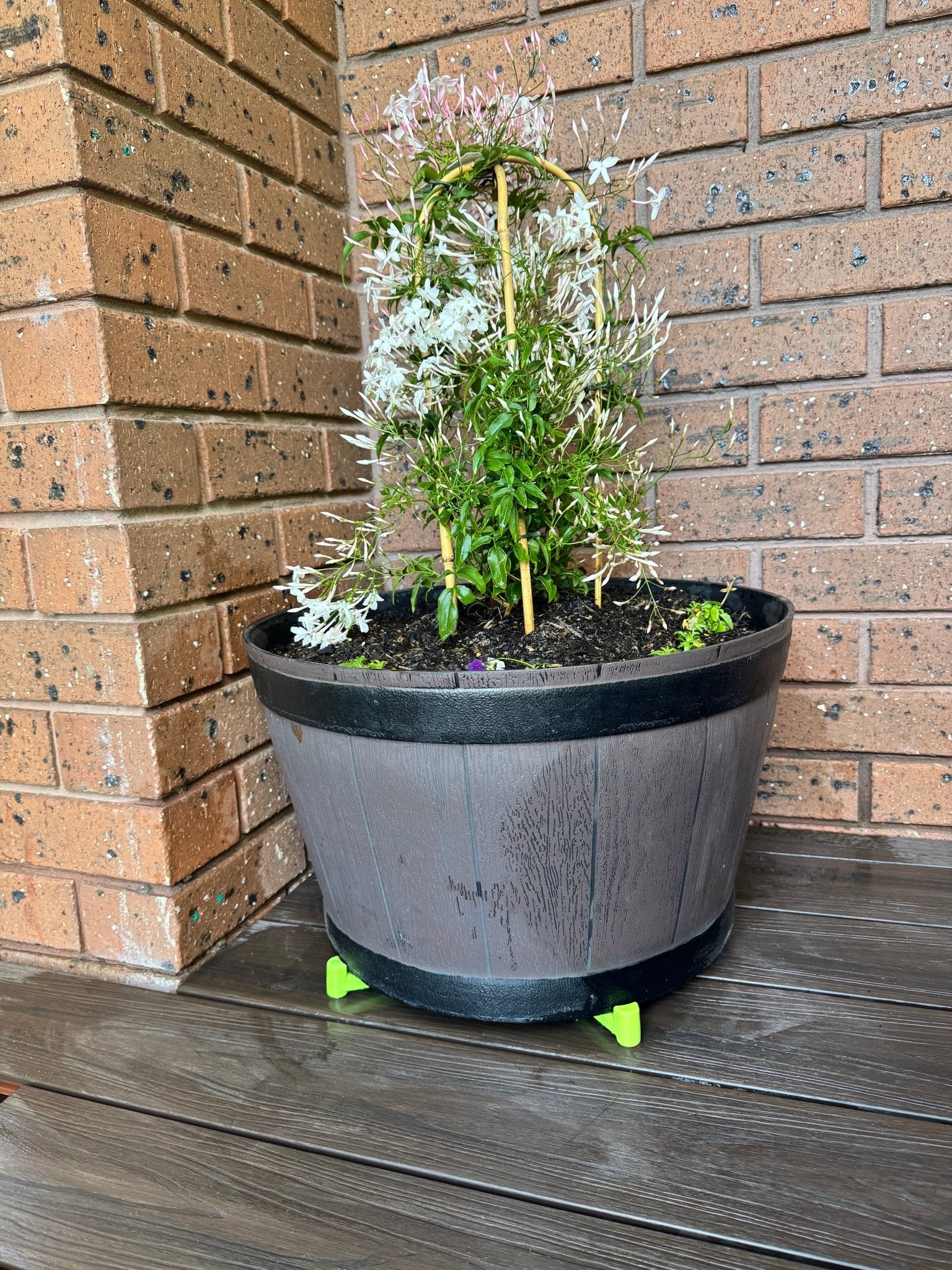 wedgie-pot-riser-recycled-plastic-green-under-large-heavy-pot