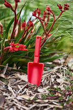 Red plastic scoop in a natural setting with green plants and red flowers.