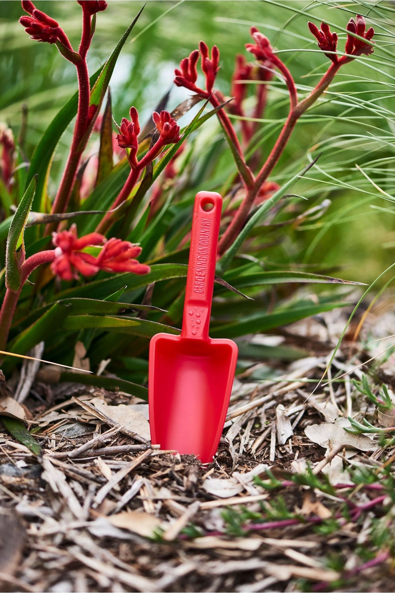 red-kids-trowel-sitting-in-garden-recycled-plastic