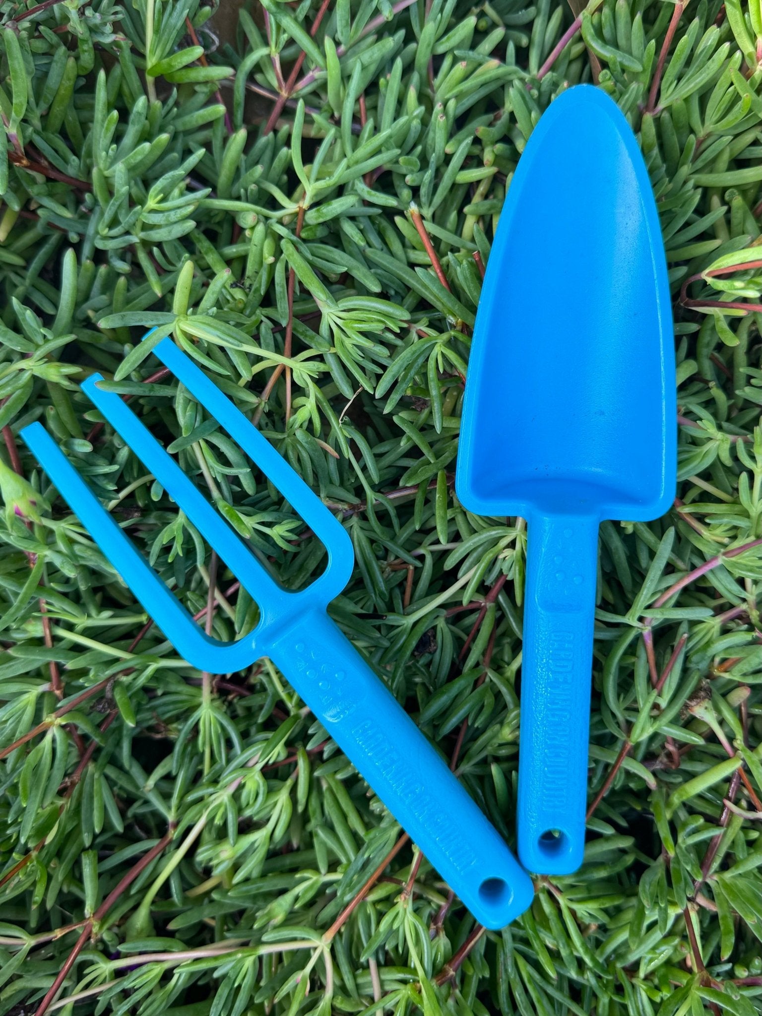 Red-kids-hand-trowel-and-fork-laying-on-succulent-plant