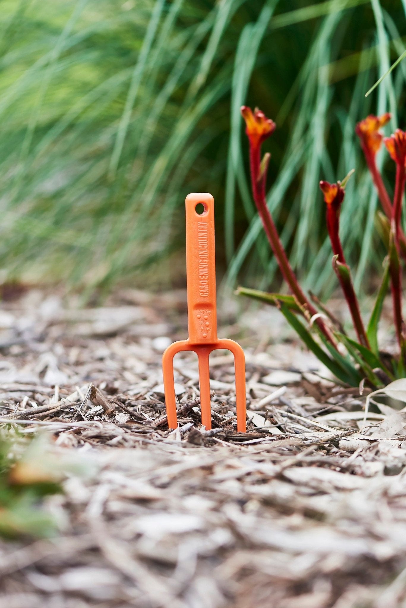 hand-fork-Chicky-kids-tool-orange-garden-view