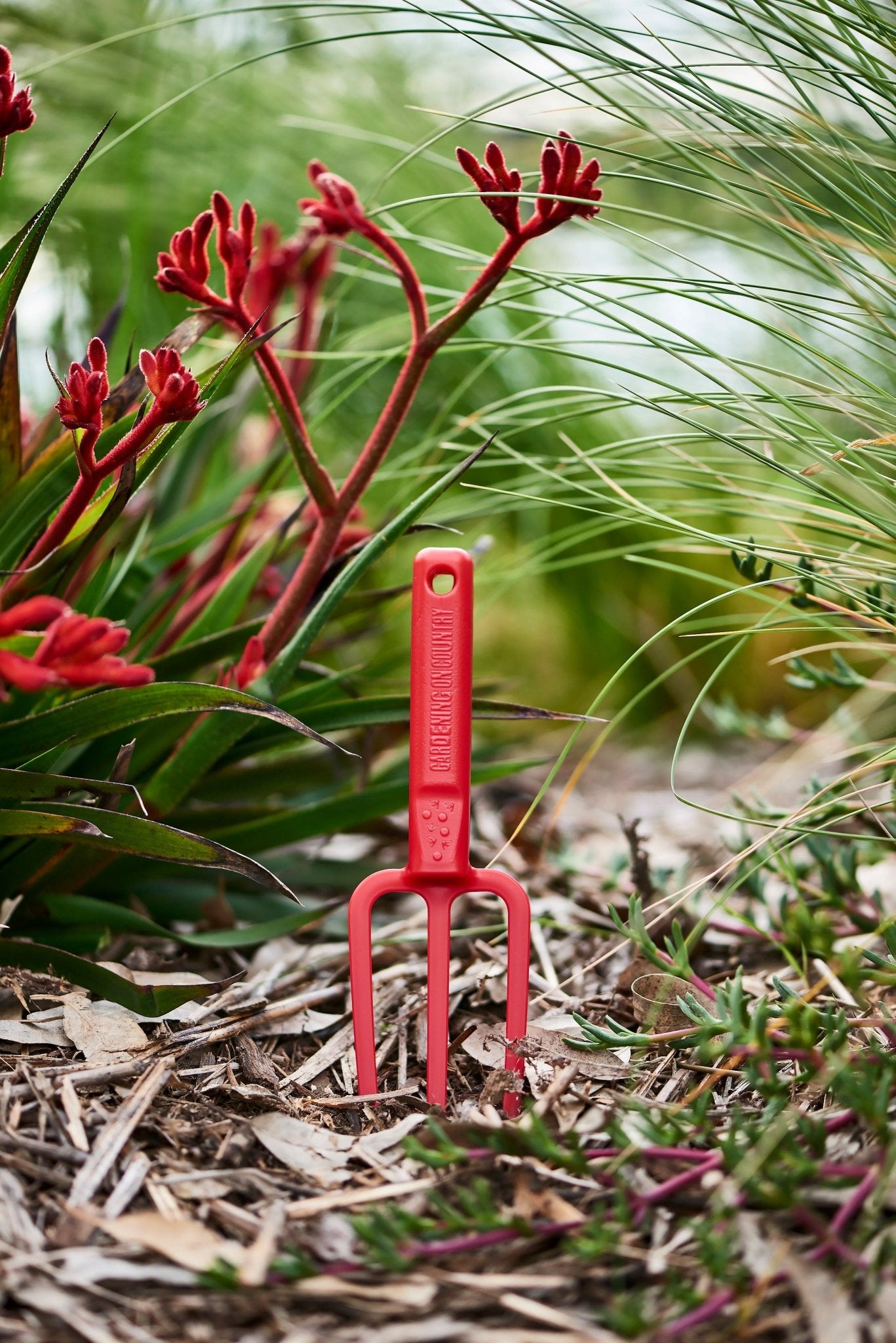 hand-fork-Chicky-kids-tool-red-front-view