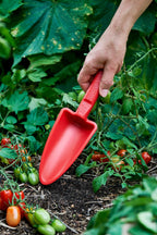 Red eco recycled plastic garden trowel being used in a garden with green plants and tomatoes.