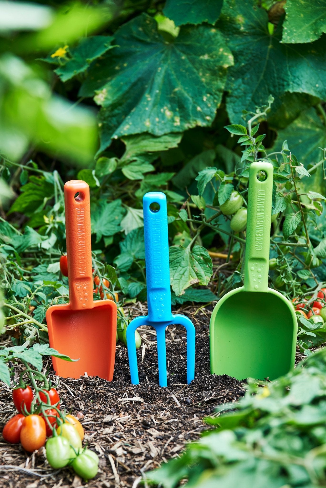 product - name - product - type