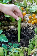 Hand using a green recycled plastic garden dibbler tool in a garden with plants and fruits.