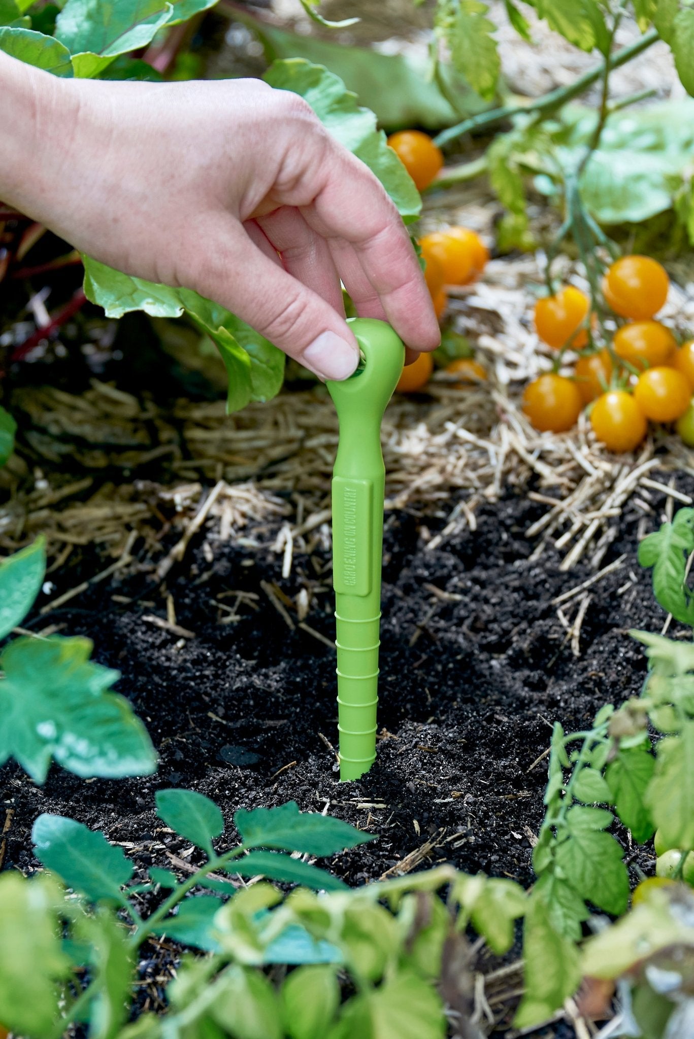 Hand using a green recycled plastic garden dibbler tool in a garden with plants and fruits.