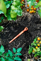 Recycled plastic garden dibbler tool in soil with young tomatoes growing around