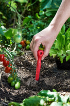 Person planting a seedling in garden soil with recycled plastic red dibbler tomatoes and other plants around