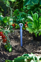 Recycled plastic purple garden dibbler tool in soil with plants and tomatoes in the background