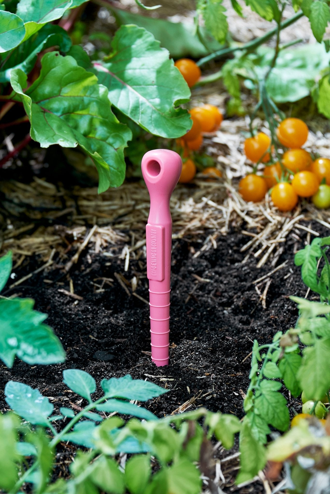 Pink recycled plastic garden dibbler tool in a garden with plants and small fruits.