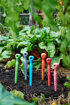 Group of recycled plastic colourful garden dibbler tools in soil