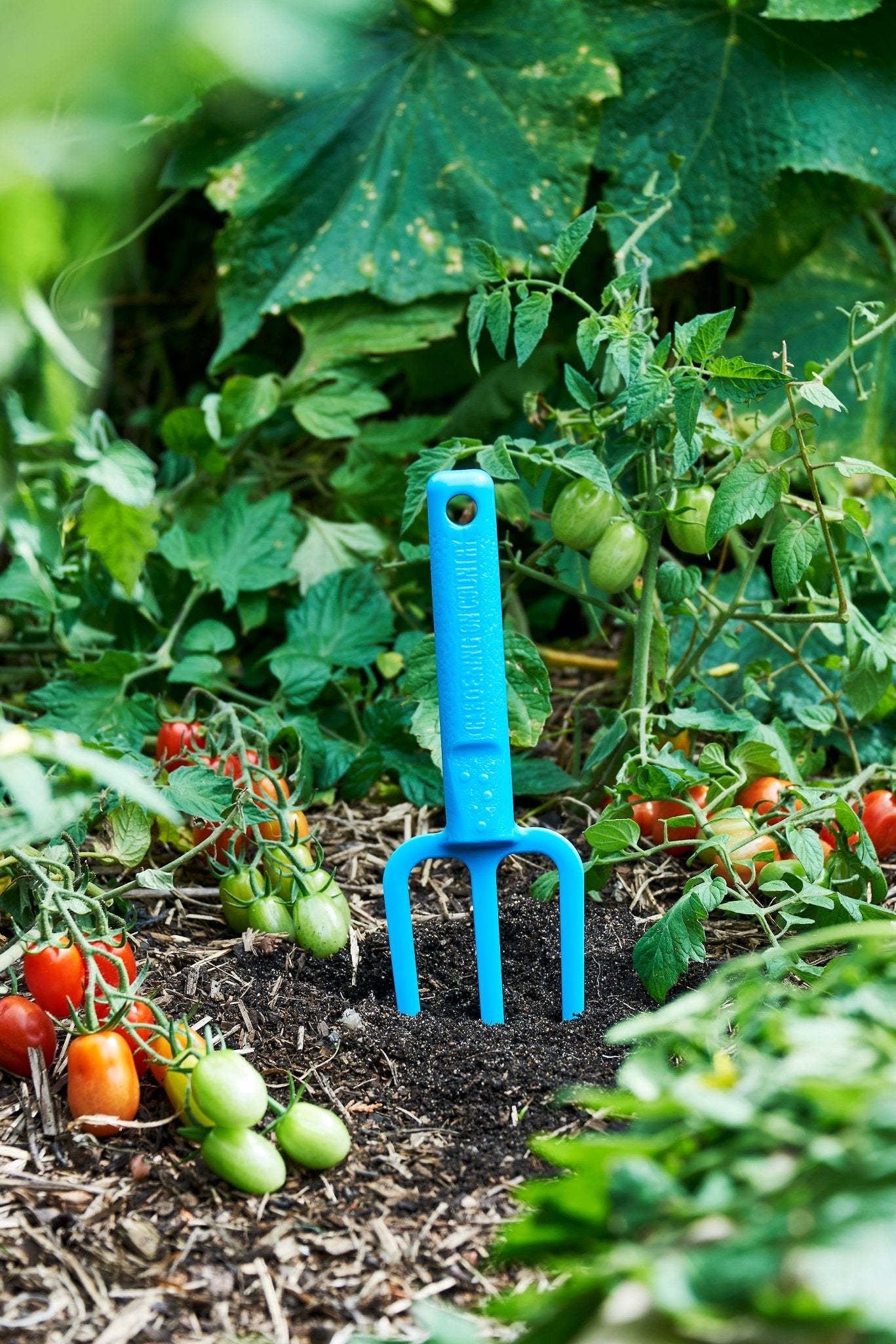 product - name - product - type