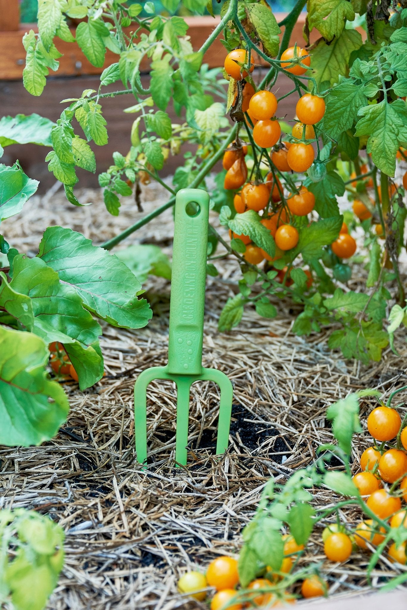 product - name - product - type