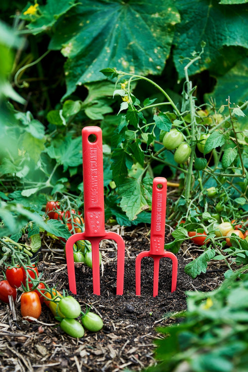 Red gardening tools in a garden with green plants and tomatoes.