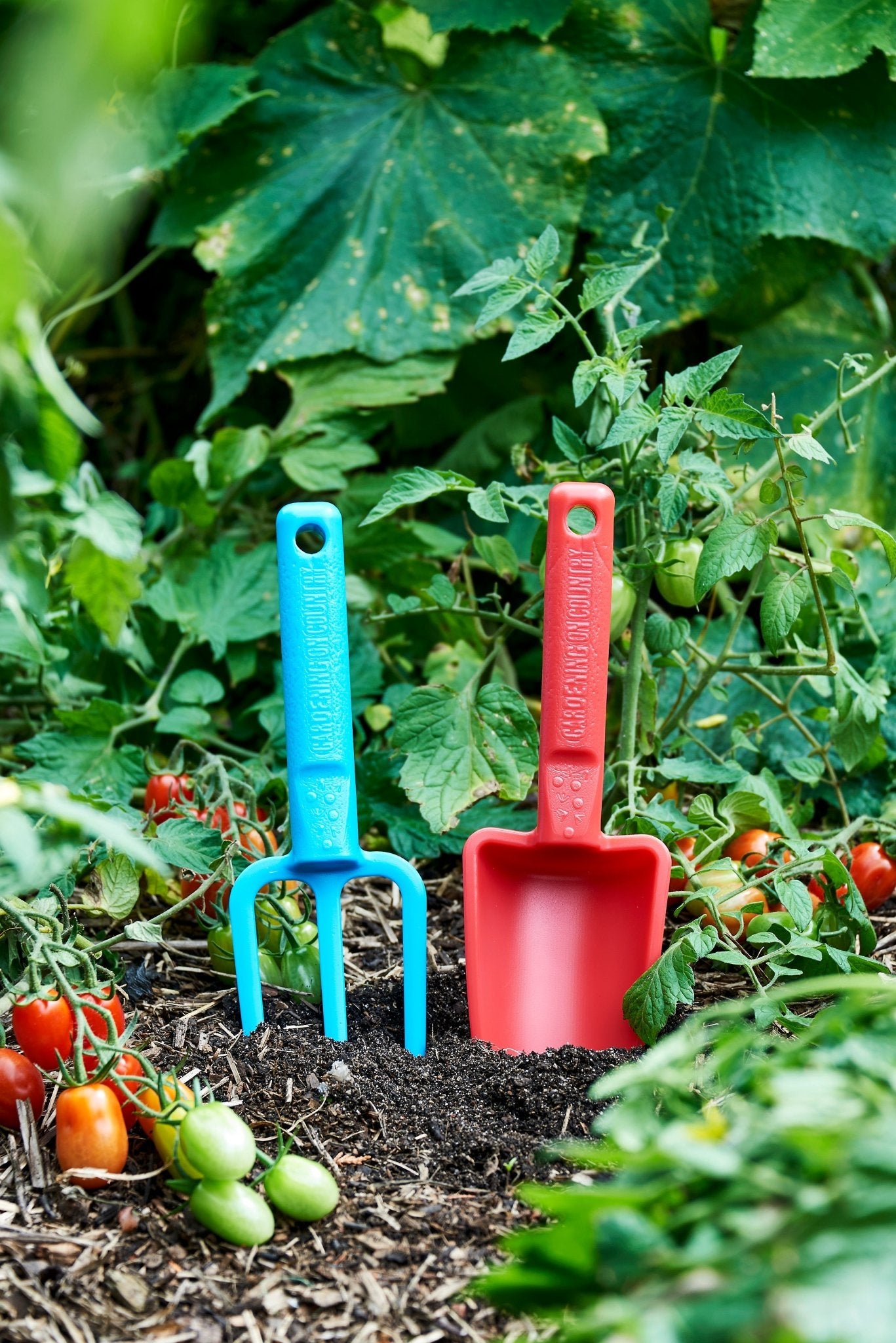 product - name - product - type