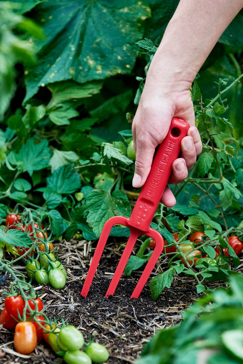 Hand using a red recycled plastic garden fork in a garden with plants and tomatoes.