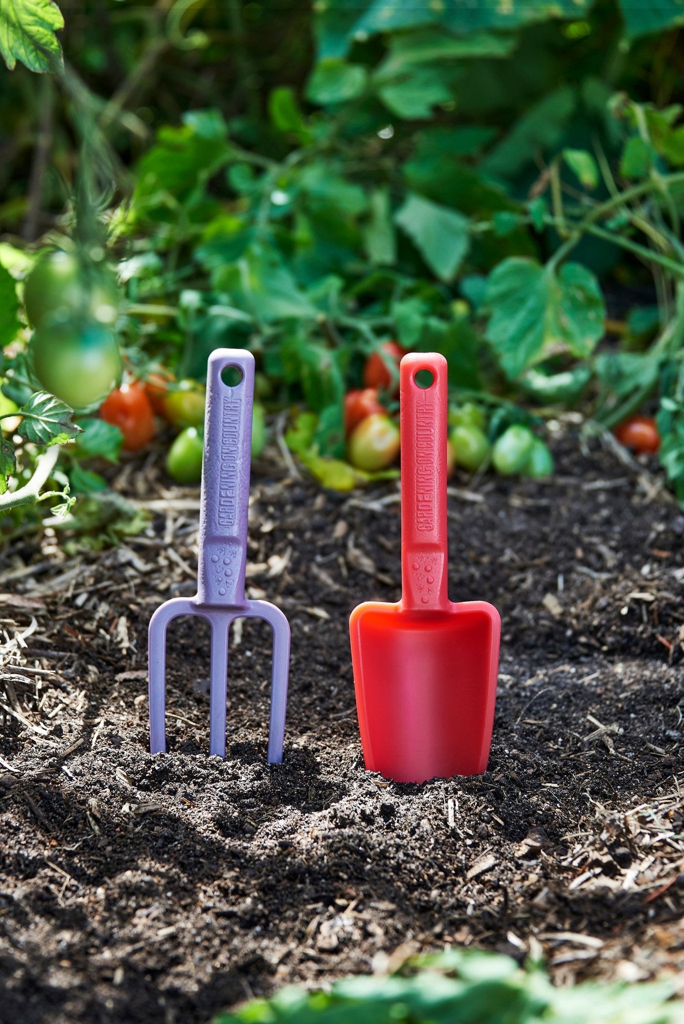 product - name - product - type