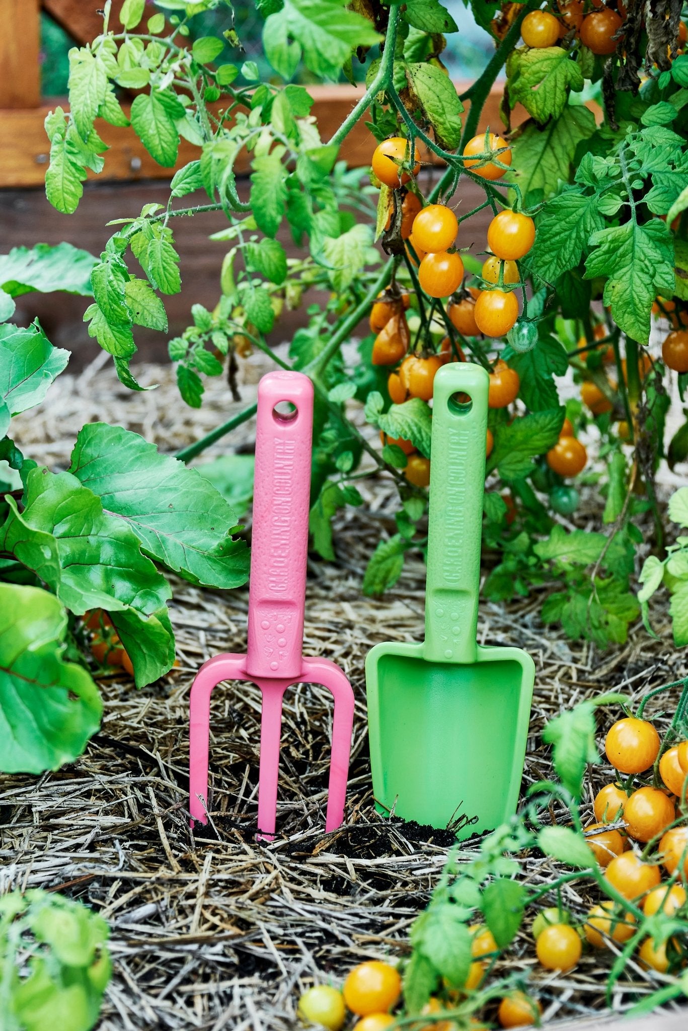 product - name - product - type