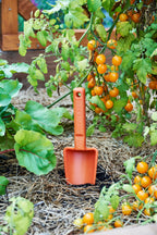 product - name - product - type