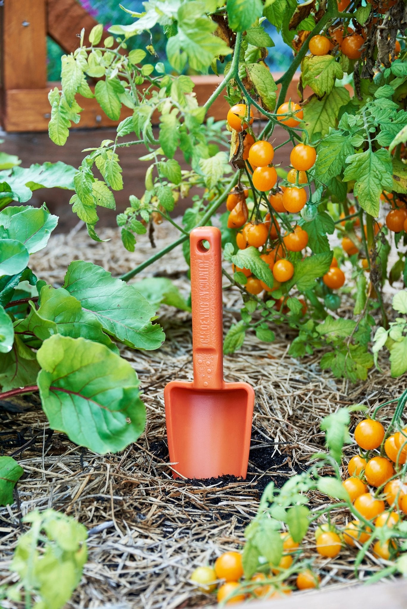 product - name - product - type