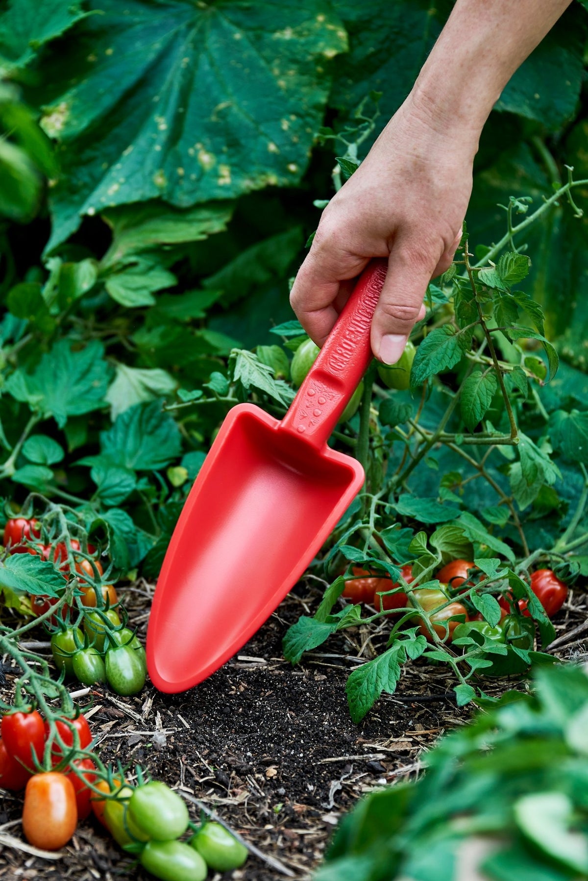 Red recycled plastic garden trowel being used in a garden with green plants and tomatoes.