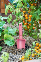 product - name - product - type