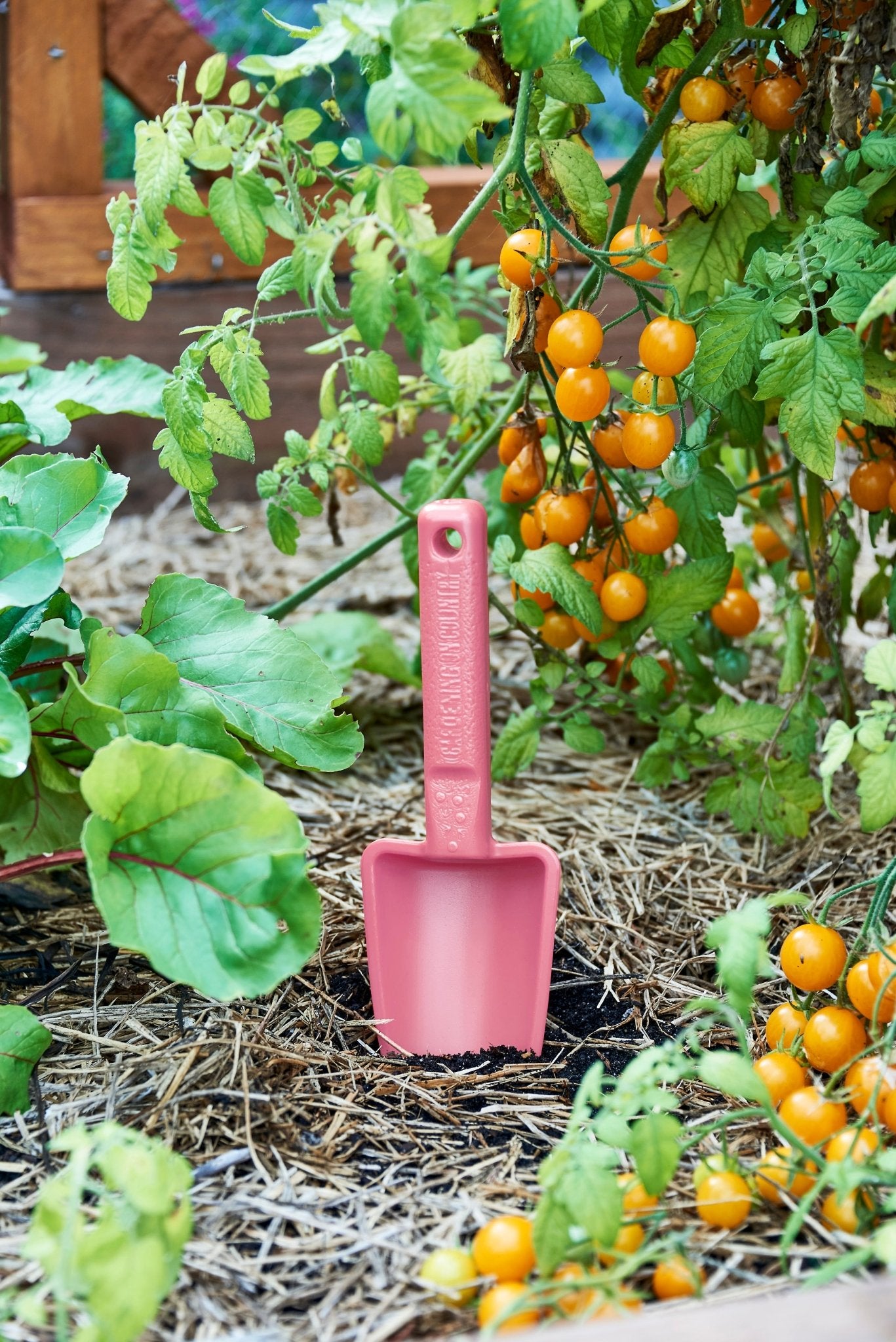 product - name - product - type