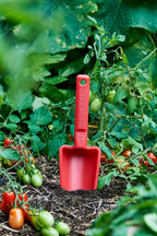 product - name - product - type