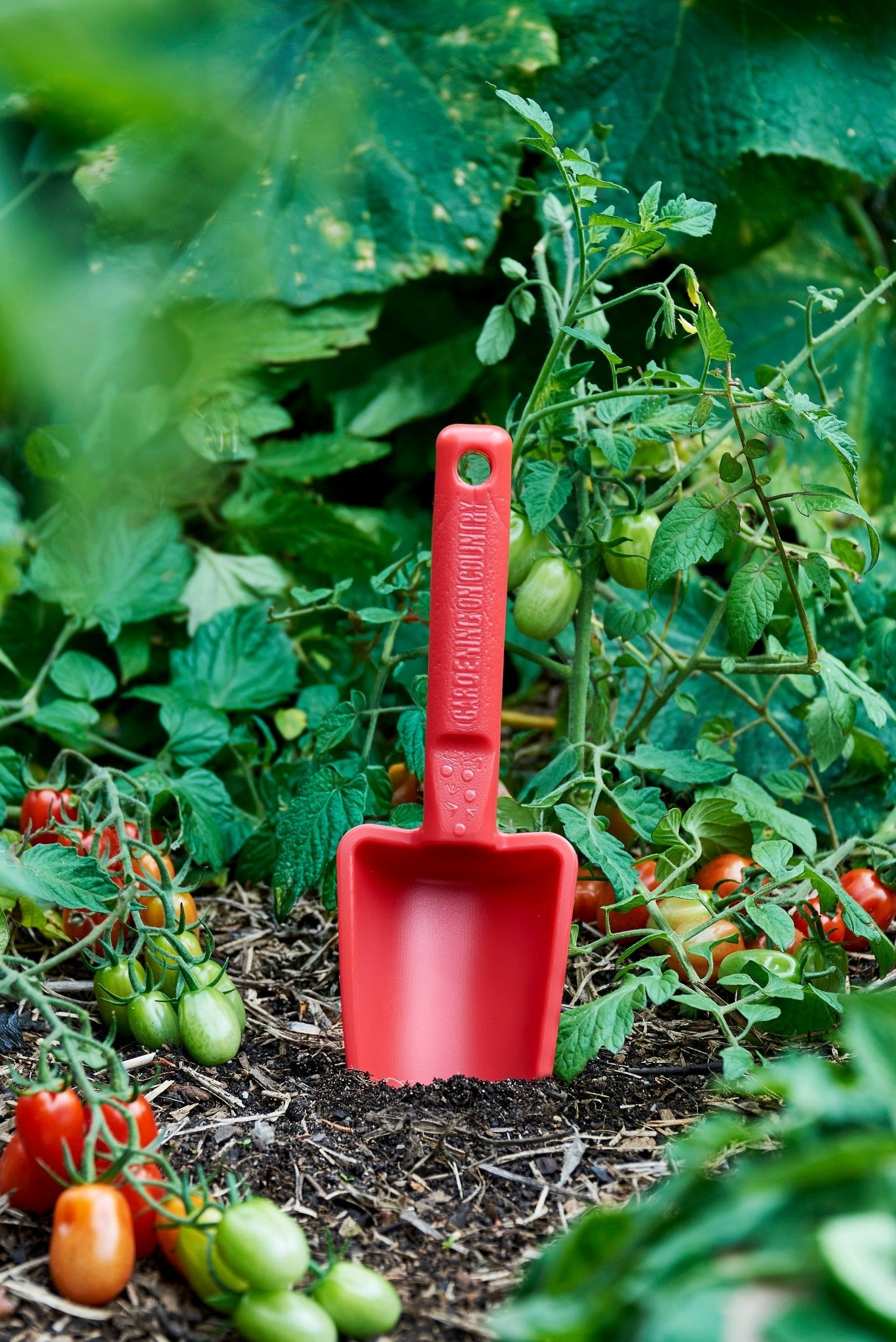 product - name - product - type