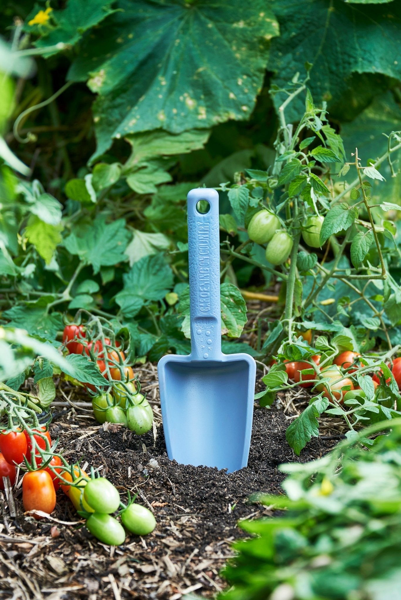 product - name - product - type