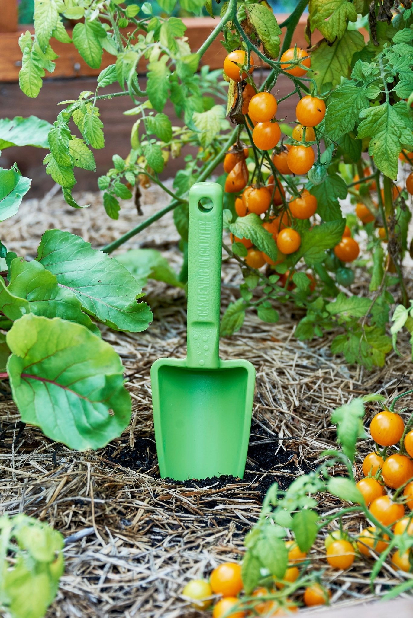 product - name - product - type