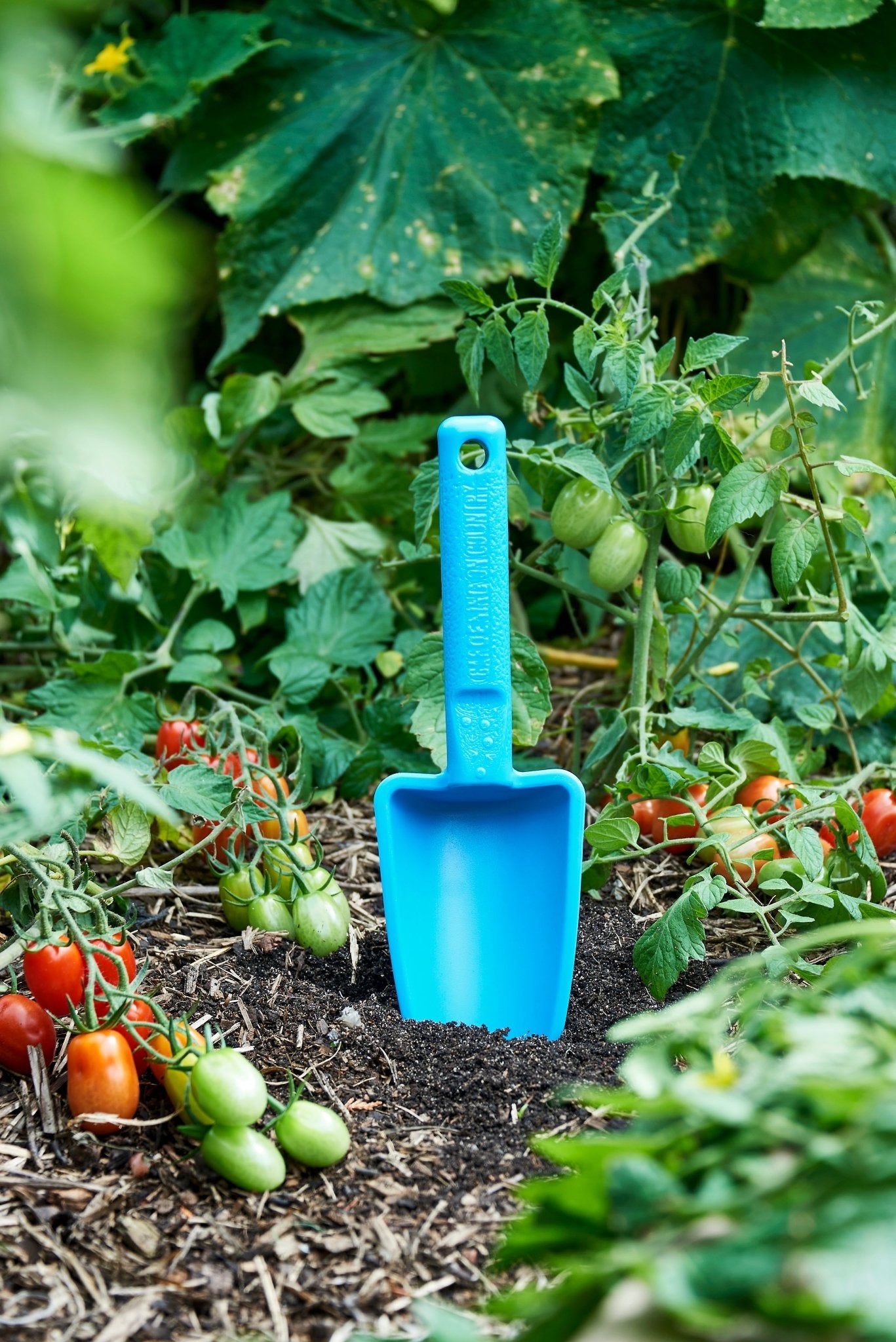 product - name - product - type