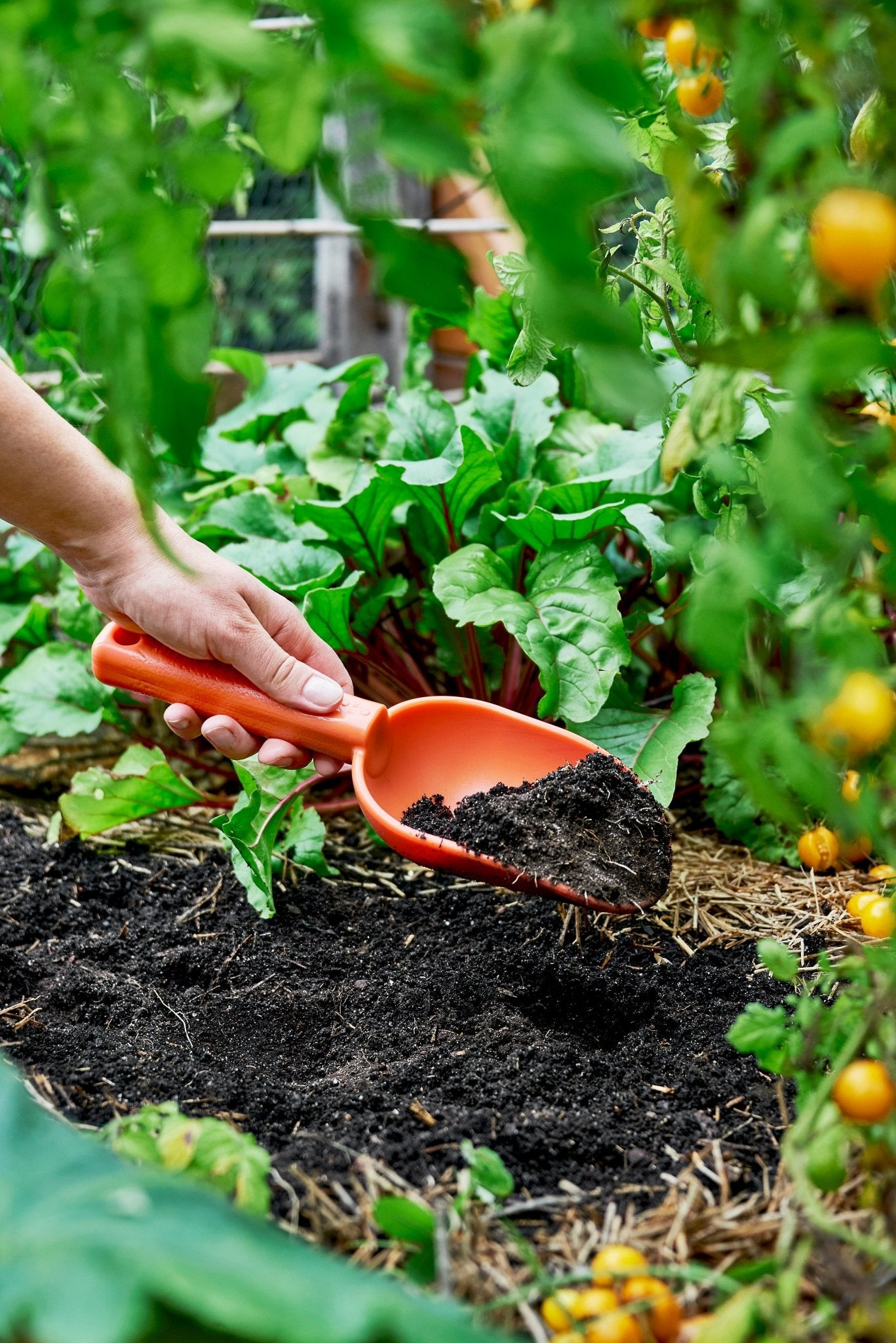 product - name - product - type