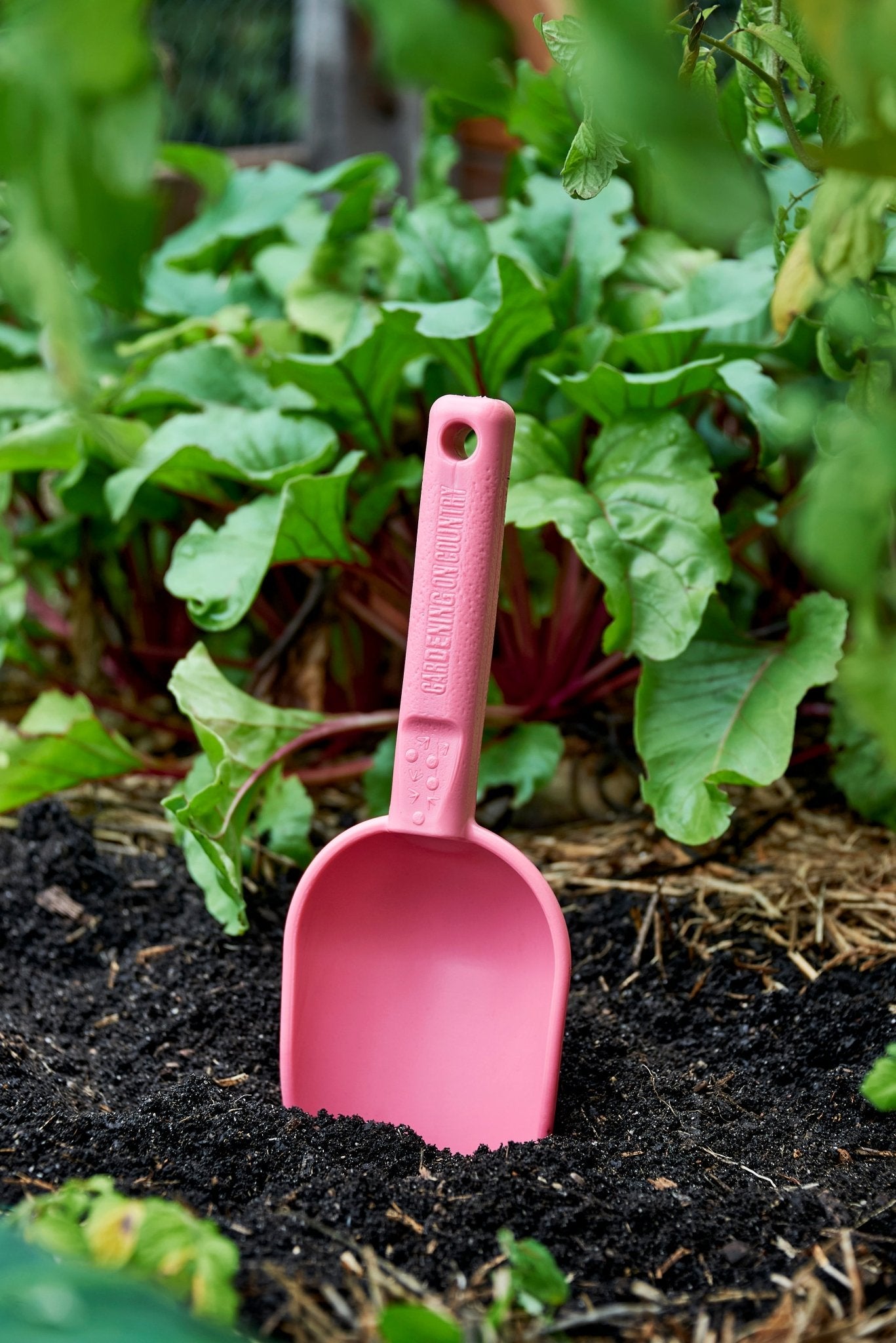 product - name - product - type