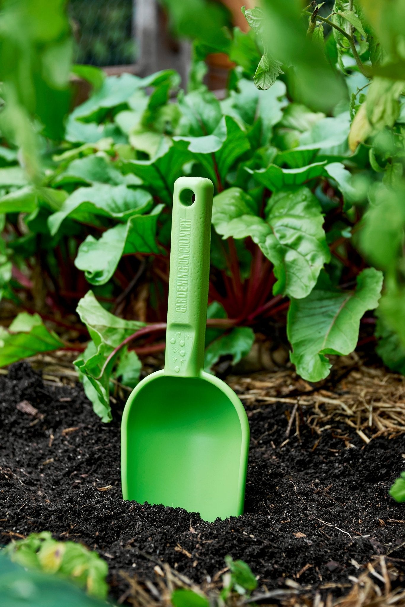 product - name - product - type