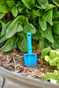 joey-trowel-blue-tool-in-vegetable-garden-dirt-gardening-eco