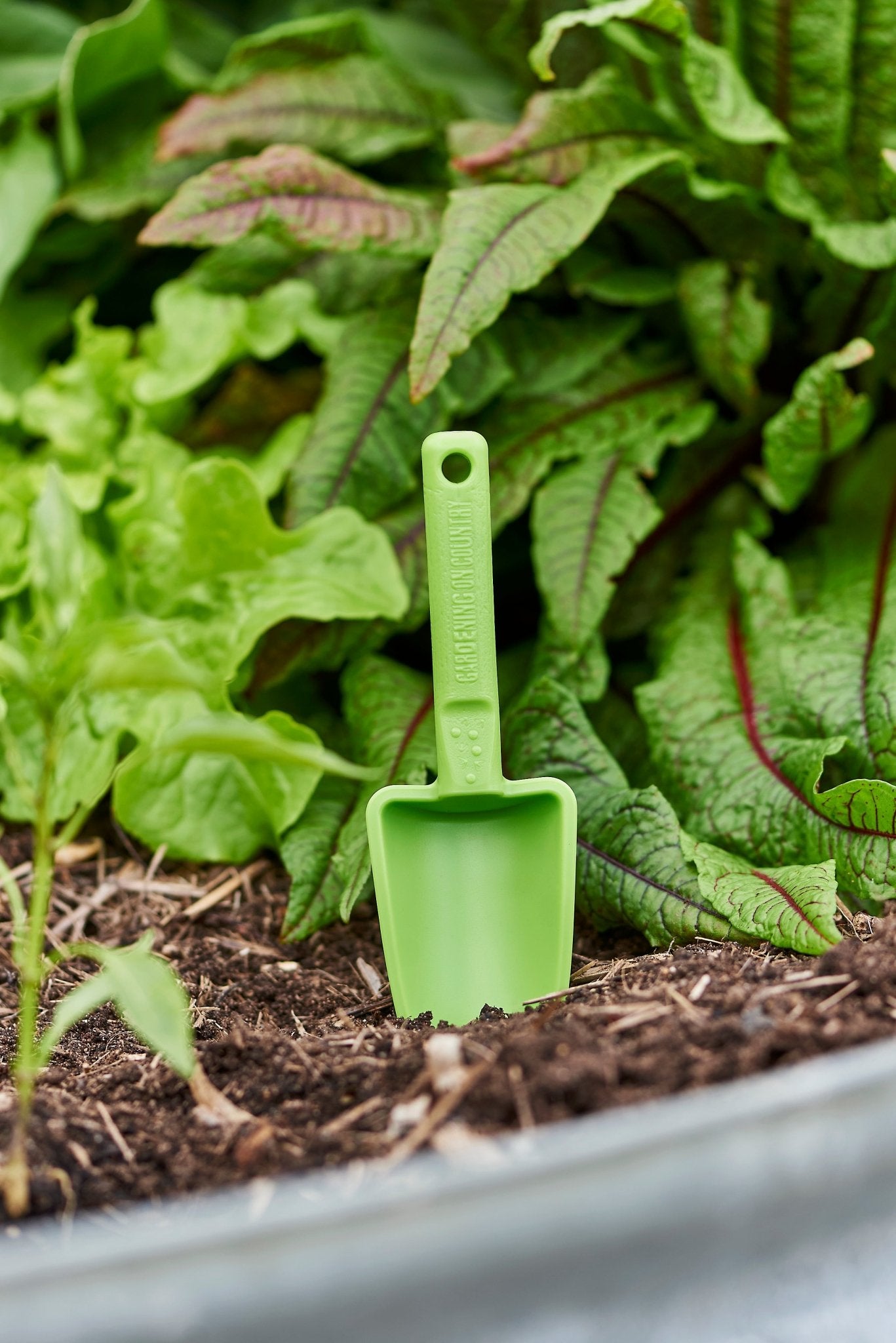 Green kids gardening tool in a garden bed with plants gardening