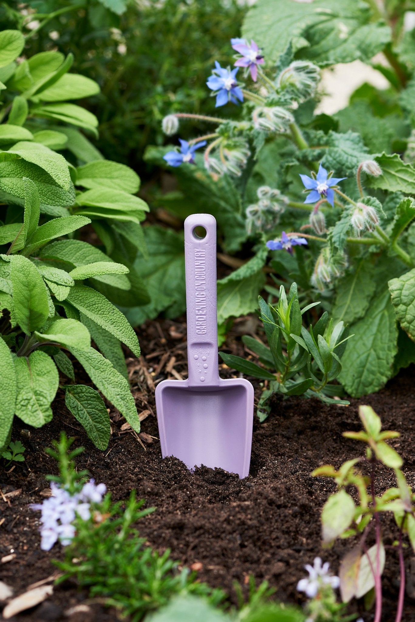 Joey-purple-tool-trowel-in-vegetable-garden-dirt-gardening
