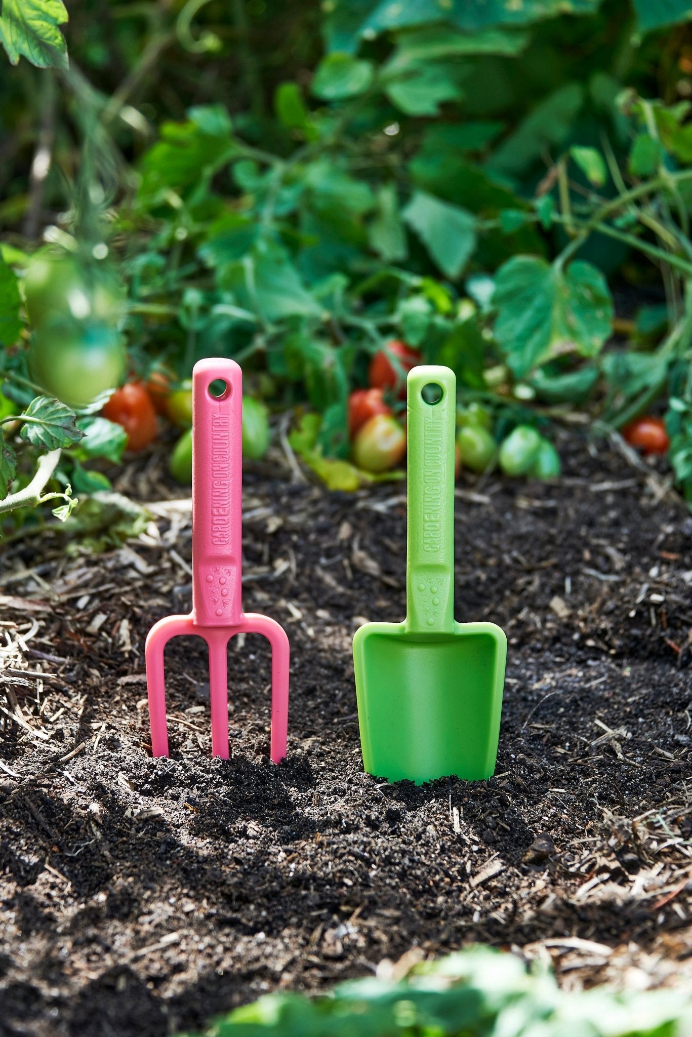 product - name - product - type