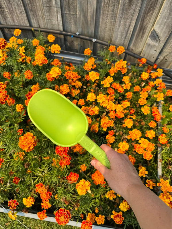 product - name - product - type